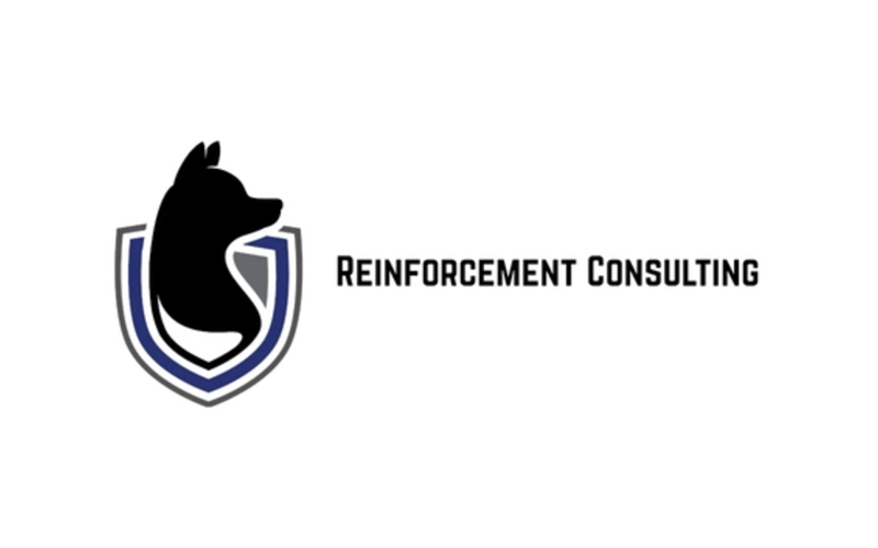 Reinforcement Consulting
